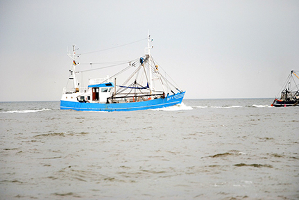 Von den Ergebnissen des Forschungsprojekts werden u.a. Fischfangbetriebe profitieren. Foto: pixabay.com