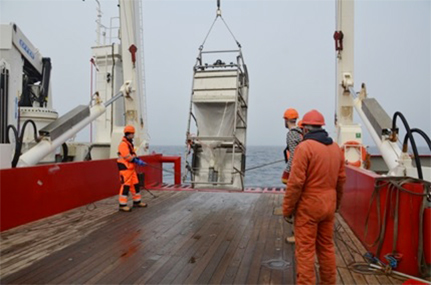 Der Epibenthosschlitten, der den Meeresboden abfährt, kommt zurück an Deck. Foto: UHH/Brandt