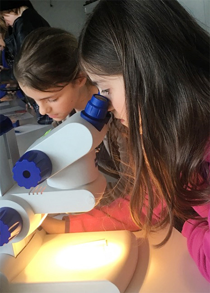 Girls’ Day in der Mikropaläontologie: Durch ein Auflichtmikroskop werden Mikroorganismen begutachtet. Foto: Luisa Patsiouras 
