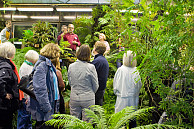 In den Schaugewächshäusern der Universität Hamburg konnten Besucher Pflanzen aus tropischen Regenwäldern, Wüsten und subtropische Urlaubsgebieten entdecken. Foto: UHH, RZZ/MCC, Arvid Mentz