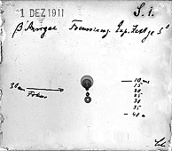 Unter den historischen Aufnahmen im digitalen Archiv befindet sich auch die erste Fotoplatte vom 1. Dezember 1911. Foto: Digitales Fotoplattenarchiv der Hamburger Sternwarte