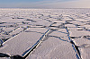 Charakteristisches Muster: durch Wellen gebrochenes Eis in der Arktis. Foto: UHH/CEN/Dobrynin
