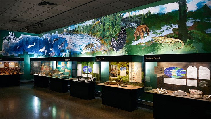 Neues Wandgemälde im Geologisch-Paläontologischen Museum