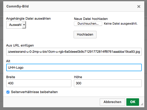 Screenshot mit dem Datei einfügen Pop-Up Fenster und ausgefüllten Meta-Daten Feldern. Das Alt-Text Feld is blau markiert.