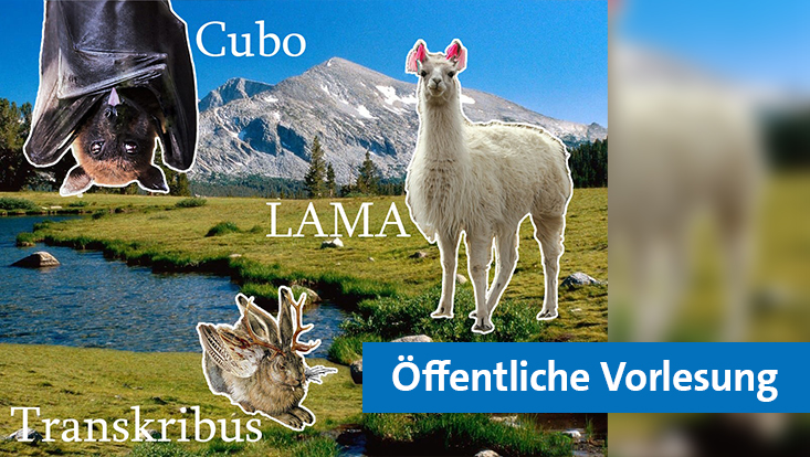 Collage auf der eine Landschaft mit Tieren wie Hase und Lama zu sehen ist