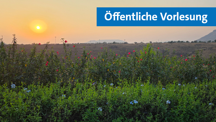 Blick in eine weite Landschaft bei Sonnenuntergang, im Vordergrund sind grüne Sträucher mit roten und blauen Blüten