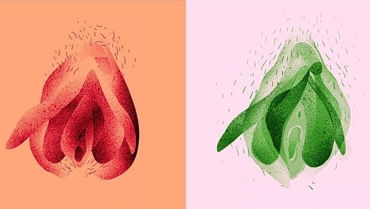 Illustration einer Vulva, die zwei mal nebeneinander dargestellt ist. Auf der linken Seite ist sie rot vor Pastellorange-farbenem Hintergrund, auf der rechten Seite in grün vor Pastellrosafarbenem Hintergrund