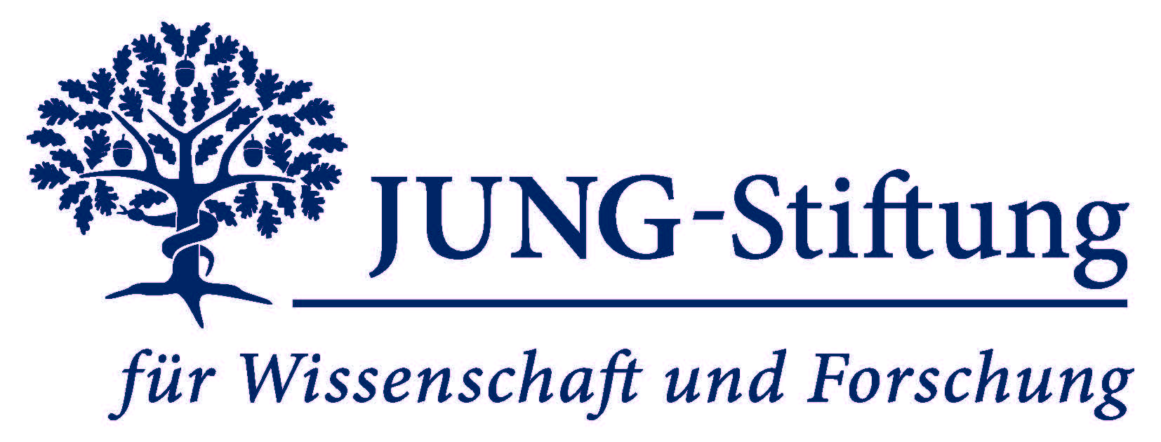 Logo Jung-Stiftung für Wissenschaft und Forschung