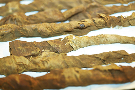 Die mumifizierten Krokodile sind mehr als 2.000 Jahre alt. Foto: CeNak