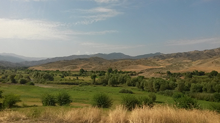 Der Iran ist sehr groß und hat eine Vielzahl von Landschaften zu bieten. Foto: UHH/Zentrum Holzwirtschaft