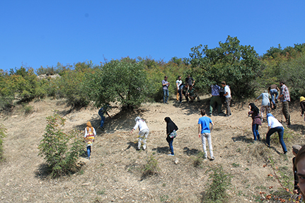 Die Studierenden fuhren verschiedene Stationen an und lernten dabei auch Land und Leute kennen. Foto: UHH/Zentrum Holzwirtschaft