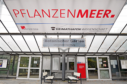 Eingang zum „Pflanzenmeer“: So begrüßen die Tropengewächshäuser in Planten un Blomen derzeit die Besucherinnen und Besucher. Foto: UHH/Betz