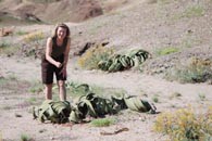 Präsidentin Auweter-Kurtz wurde von Mitarbeitern der Forschungsstation Gobabeb zu einer Population von Welwitschia mirabilis geführt.