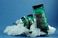 Mehrfarbiger Turmalin mit Cleavelandit, Brasilien, Größter Kristall: 4 cm, Foto: Karl-Christian Lyncker, Hamburg
