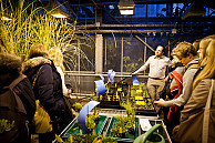 Im Gewächshaus wurden Pflanzenversuche erläutert und verschiedene Stadien des Wachstums präsentiert. Foto: Stefan Bischoff | addictedtolight.com