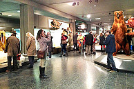 Insgesamt nutzten mehr als 5000 Besucherinnen und Besucher die Gelegenheit, sich die außergewöhnlichen Stücke der Ausstellungen anzusehen. Foto: UHH/Mielke