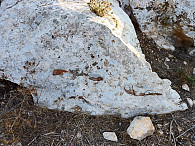 Levantischer Feuerstein in den Kalksteinformationen. Hier wurde im Neolithikum Flint abgebaut und weiterverarbeitet. Foto: UHH/Meller

