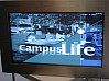Der Prototyp eines CampusScreens, Foto: UHH/GW 