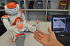 Assistenzroboter müssen besonders lern- und kommunikationsfähig sein. Foto: UHH/FBI