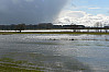 Hochwasser in der Auenlandschaft an der Mittelelbe. Foto: Claudia Mählmann